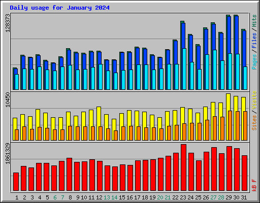 Daily usage for January 2024