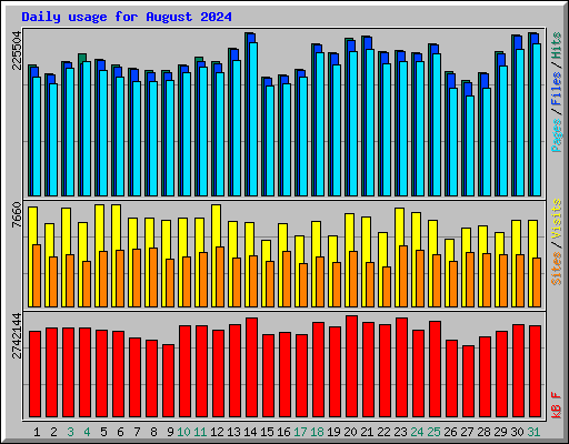 Daily usage for August 2024