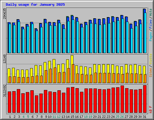 Daily usage for January 2025