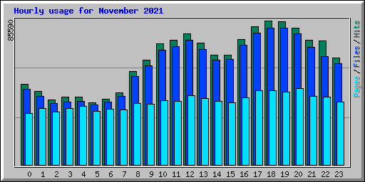 Hourly usage for November 2021