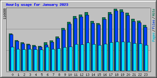 Hourly usage for January 2023