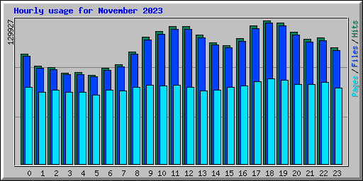 Hourly usage for November 2023