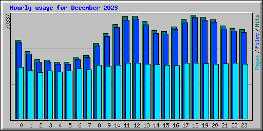 Hourly usage for December 2023