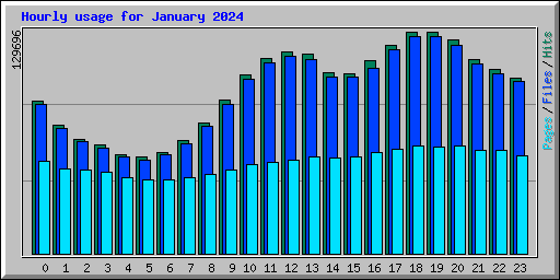 Hourly usage for January 2024