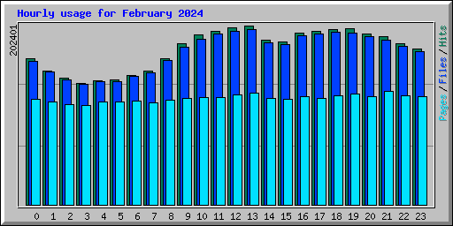 Hourly usage for February 2024