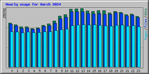 Hourly usage for March 2024