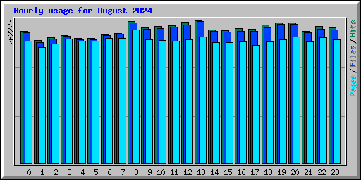 Hourly usage for August 2024