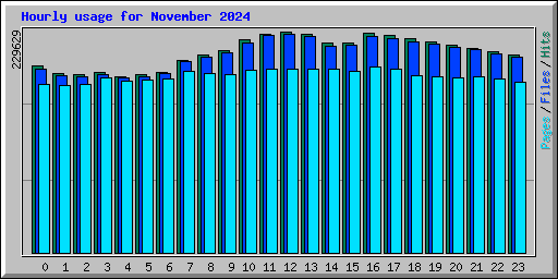 Hourly usage for November 2024