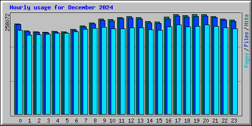 Hourly usage for December 2024