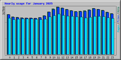 Hourly usage for January 2025
