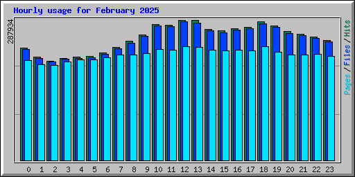 Hourly usage for February 2025