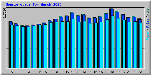 Hourly usage for March 2025