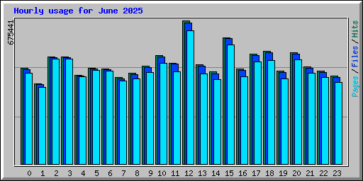 Hourly usage for June 2025