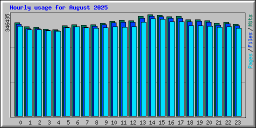Hourly usage for August 2025