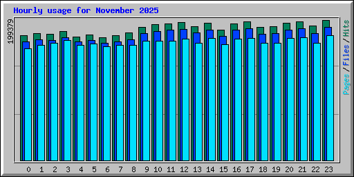 Hourly usage for November 2025