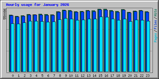 Hourly usage for January 2026